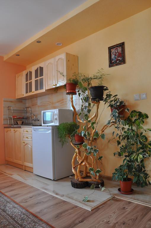 Guest House Eli Sapareva Banya Habitación foto